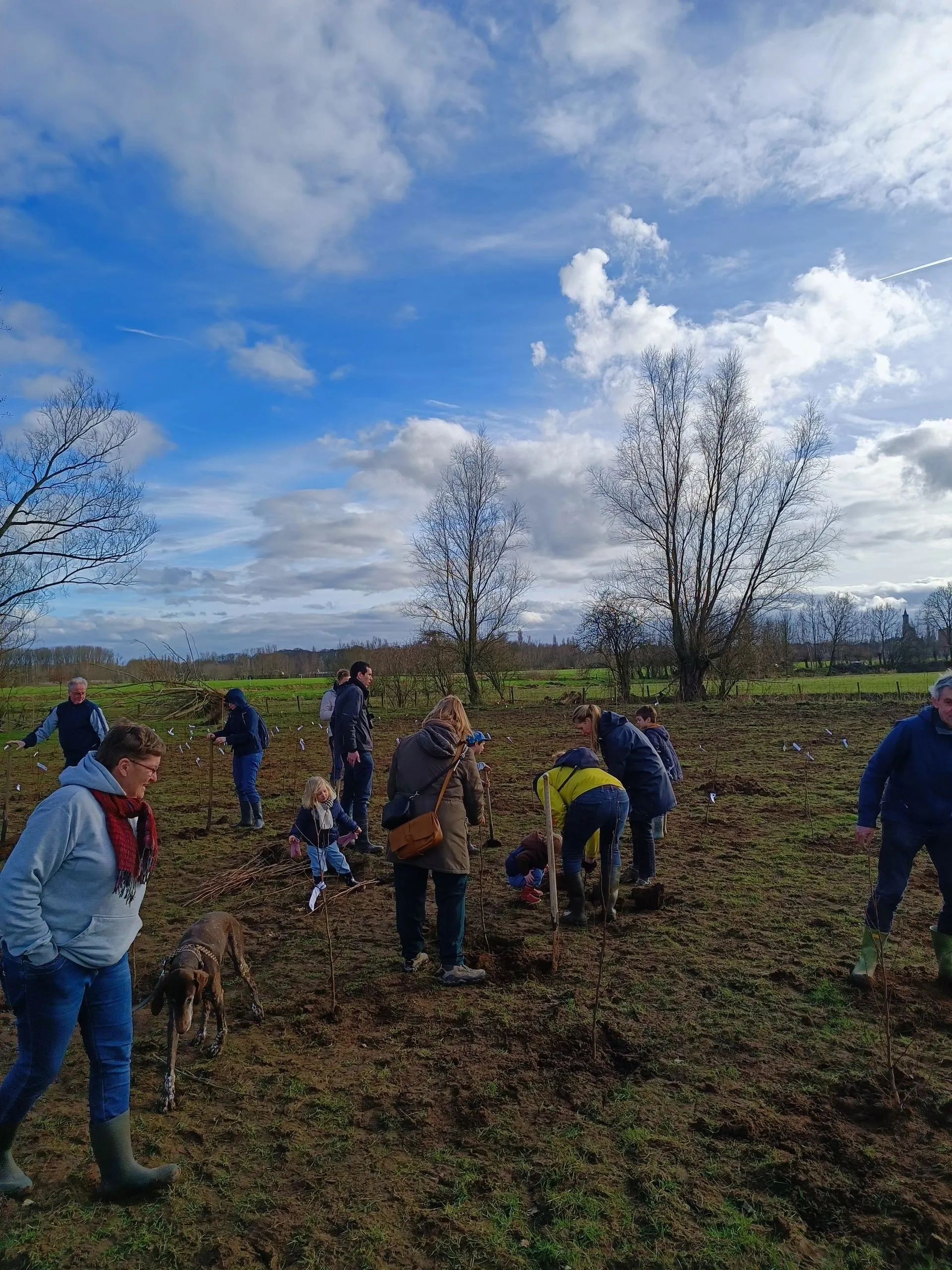 Sustainable activities